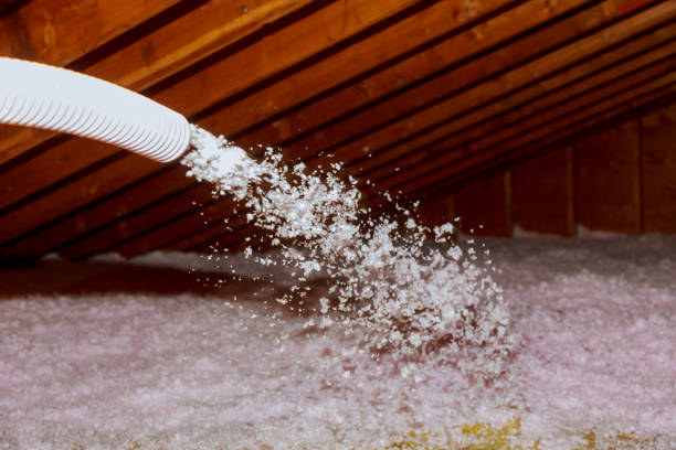Best Residential Insulation in West Dundee, IL