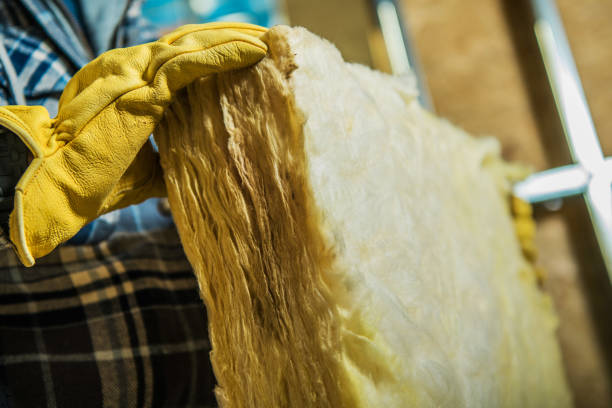 Best Types of Insulation in West Dundee, IL
