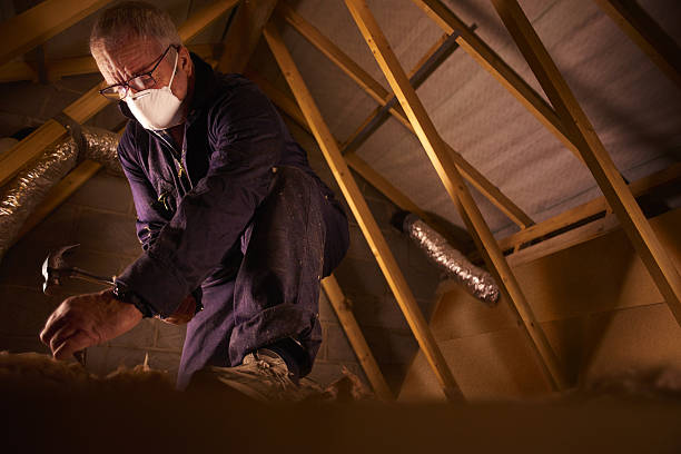 Best Energy Efficiency Solutions in West Dundee, IL