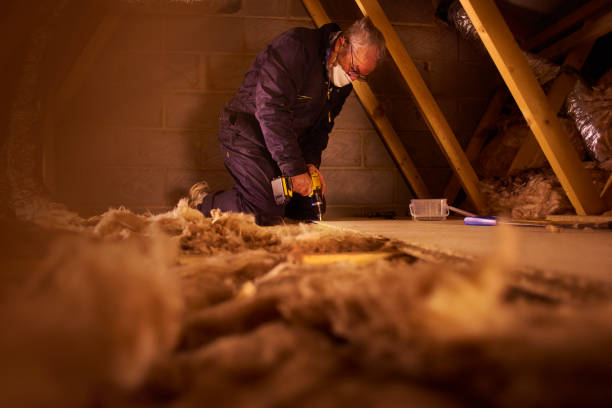 Best Residential Insulation in West Dundee, IL